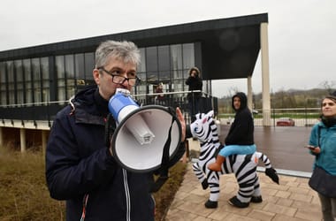 Thumbnail for 7036383