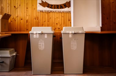 Thumbnail for 7036638