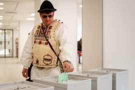 Thumbnail for 7036676