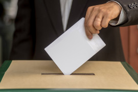 Thumbnail for 7036693