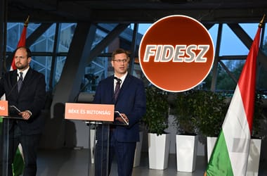 Thumbnail for 7036773