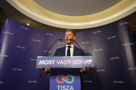 Thumbnail for 7036785