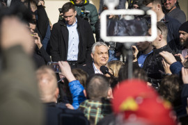 Thumbnail for 7036856