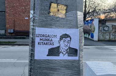 Thumbnail for 7036863