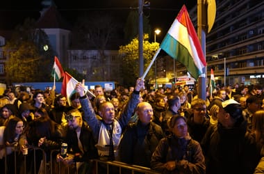 Thumbnail for 7036865