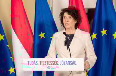 Thumbnail for 7036869