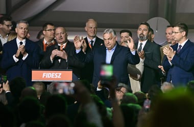 Thumbnail for 7036876