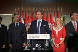 Thumbnail for 7036918