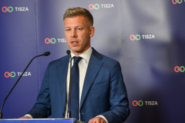 Thumbnail for 7037057