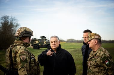 Thumbnail for 7037106