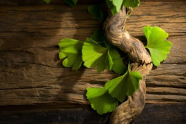 Thumbnail for 7037299