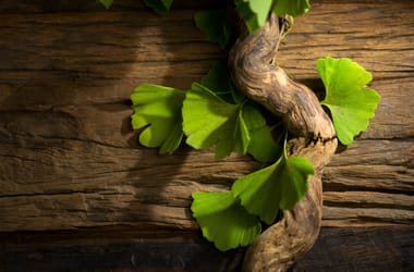 Thumbnail for 7037299