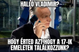 Thumbnail for 7037307