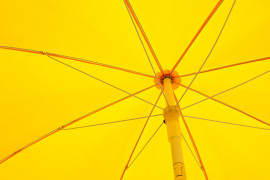 Thumbnail for 7037631