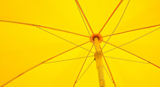 Thumbnail for 7037631