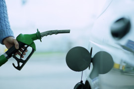 Thumbnail for 7037766