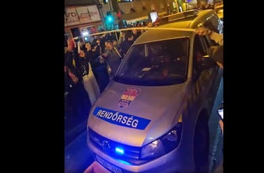 Thumbnail for 7037849