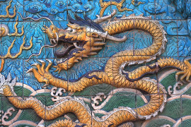 Thumbnail for 7037855