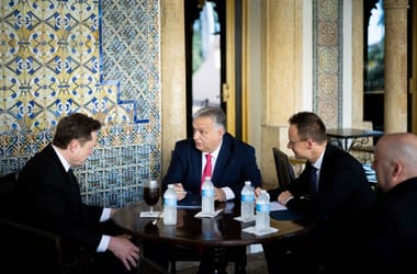 Thumbnail for 7037980