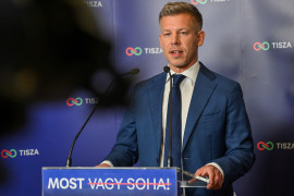 Thumbnail for 7038075