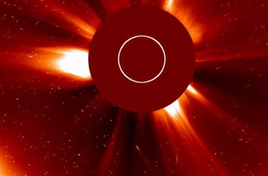 Thumbnail for 7038563