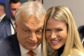 Thumbnail for 7038842