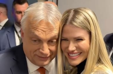 Thumbnail for 7038842