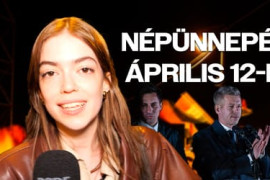 Thumbnail for 7038873