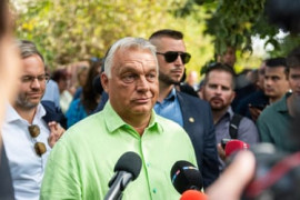 Thumbnail for 7039593