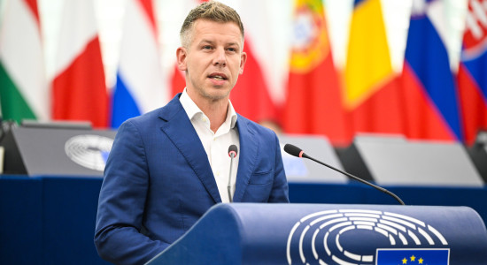 Thumbnail for 7040021