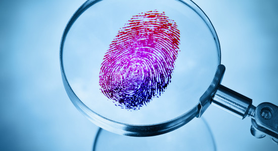 Thumbnail for 7040064