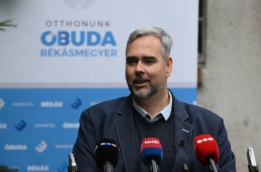 Thumbnail for 7040067