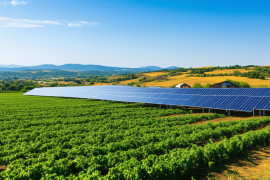 Thumbnail for 7040073