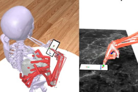 Thumbnail for 7040083