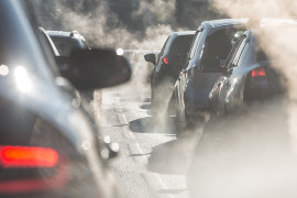 Thumbnail for 7040139