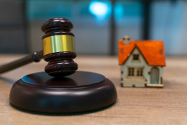 Thumbnail for 7040897