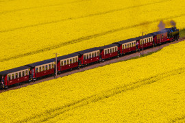 Thumbnail for 7041691