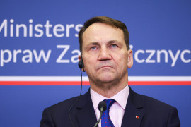 Thumbnail for 7042549