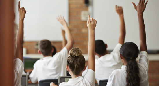 Thumbnail for 7042554