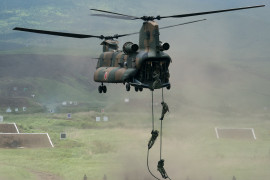 Thumbnail for 7042804