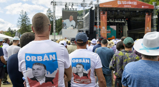 Thumbnail for 7042817