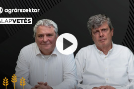 Thumbnail for 7042896