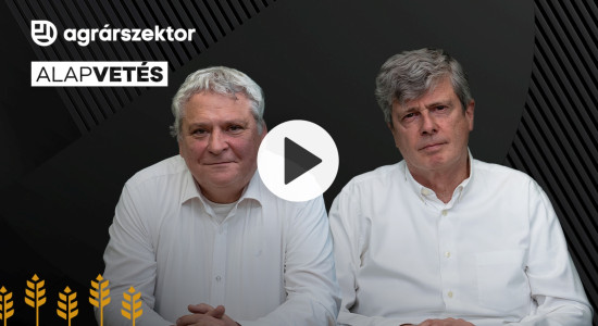 Thumbnail for 7042896