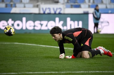 Thumbnail for 7042919