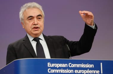 Thumbnail for 7043019