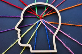 Thumbnail for 7043050