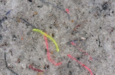 Thumbnail for 7043069