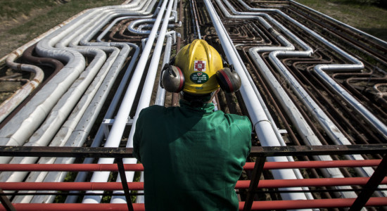 Thumbnail for 7043131