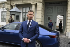 Thumbnail for 7043139