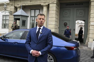 Thumbnail for 7043139